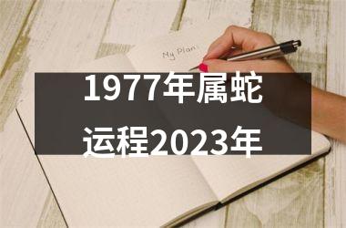 <h3>1977年属蛇运程2025年