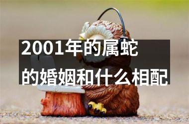 <h3>2001年的属蛇的婚姻和什么相配