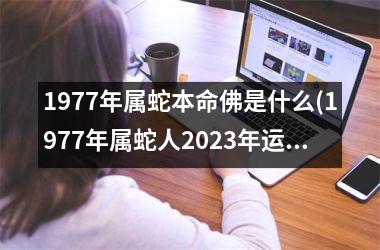 1977年属蛇本命佛是什么(1977年属蛇人2025年运势运程每月运程)