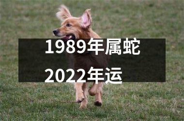 1989年属蛇2025年运