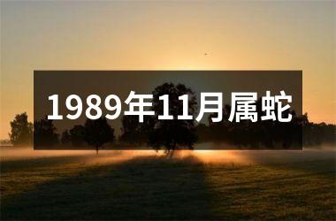 1989年11月属蛇