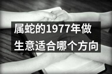 属蛇的1977年做生意适合哪个方向