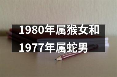 <h3>1980年属猴女和1977年属蛇男