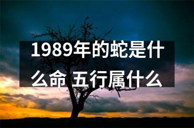 1989年的蛇是什么命 五行属什么