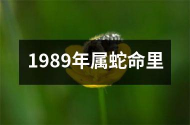 1989年属蛇命里