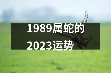 1989属蛇的2025运势