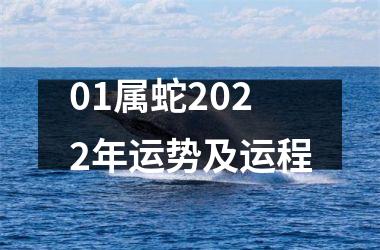 01属蛇2025年运势及运程