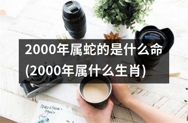 2000年属蛇的是什么命(2000年属什么生肖)