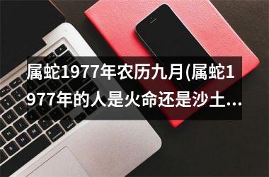 属蛇1977年农历九月(属蛇1977年的人是火命还是沙土命)