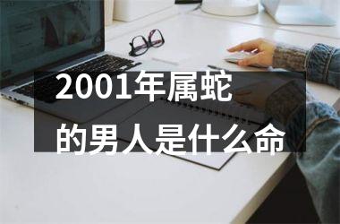 2001年属蛇的男人是什么命