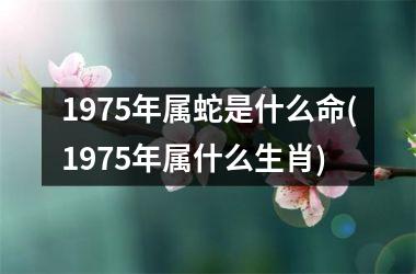 1975年属蛇是什么命(1975年属什么生肖)