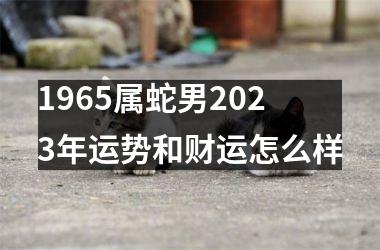 1965属蛇男2025年运势和财运怎么样