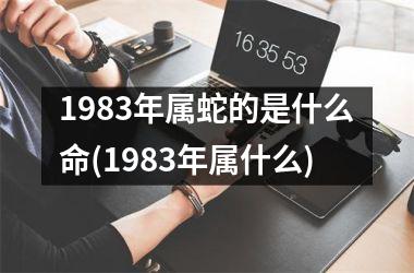 1983年属蛇的是什么命(1983年属什么)