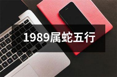 1989属蛇五行