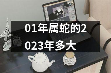 01年属蛇的2025年多大