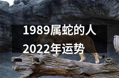 1989属蛇的人2025年运势