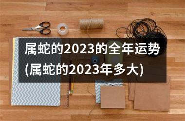 属蛇的2025的全年运势(属蛇的2025年多大)