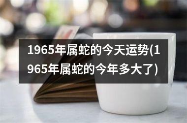 1965年属蛇的今天运势(1965年属蛇的今年多大了)