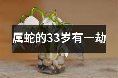 属蛇的33岁有一劫