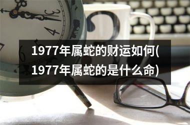 1977年属蛇的财运如何(1977年属蛇的是什么命)