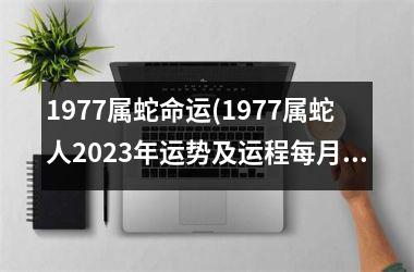 1977属蛇命运(1977属蛇人2025年运势及运程每月运程)