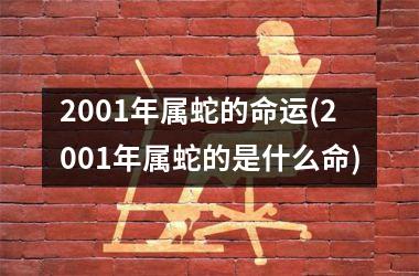 2001年属蛇的命运(2001年属蛇的是什么命)