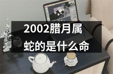 <h3>2002腊月属蛇的是什么命