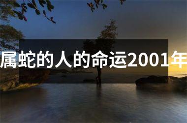 属蛇的人的命运2001年