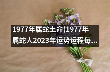 1977年属蛇土命(1977年属蛇人2025年运势运程每月运程)