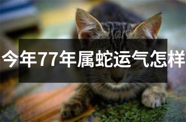 今年77年属蛇运气怎样