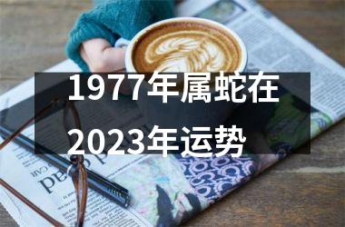 1977年属蛇在2025年运势