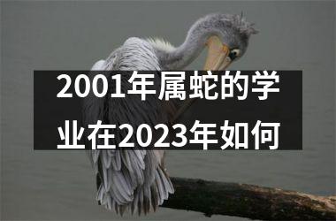 2001年属蛇的学业在2025年如何