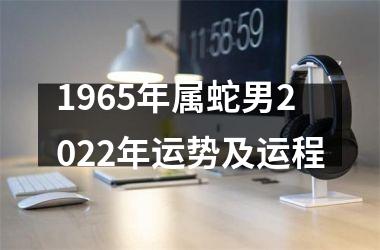 <h3>1965年属蛇男2025年运势及运程