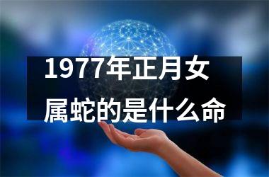 <h3>1977年正月女属蛇的是什么命