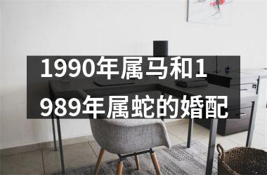 1990年属马和1989年属蛇的婚配