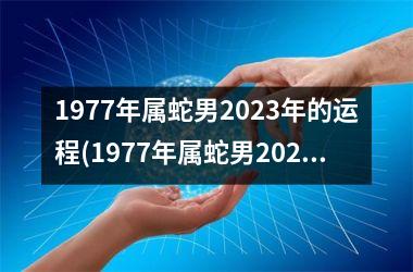 1977年属蛇男2025年的运程(1977年属蛇男2025年运势及运程每月运程)