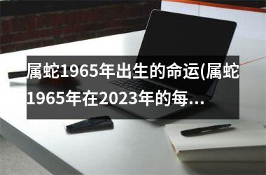 属蛇1965年出生的命运(属蛇1965年在2025年的每月运程)