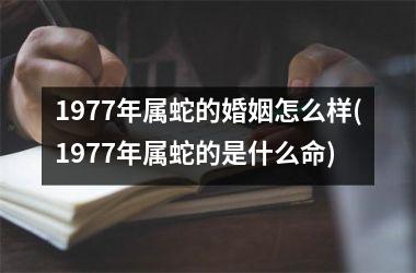 1977年属蛇的婚姻怎么样(1977年属蛇的是什么命)