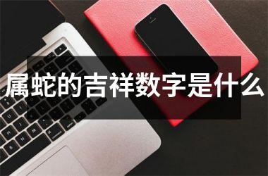 属蛇的吉祥数字是什么