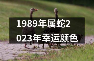 1989年属蛇2025年幸运颜色