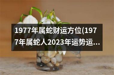 1977年属蛇财运方位(1977年属蛇人2025年运势运程每月运程)