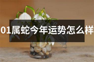 01属蛇今年运势怎么样