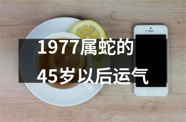 1977属蛇的45岁以后运气