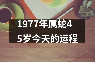 1977年属蛇45岁今天的运程