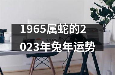 1965属蛇的2025年兔年运势