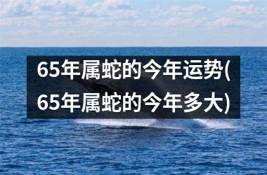 65年属蛇的今年运势(65年属蛇的今年多大)