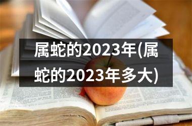 属蛇的2025年(属蛇的2025年多大)