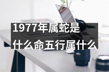 <h3>1977年属蛇是什么命五行属什么