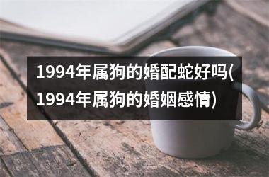 1994年属狗的婚配蛇好吗(1994年属狗的婚姻感情)