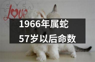 1966年属蛇57岁以后命数